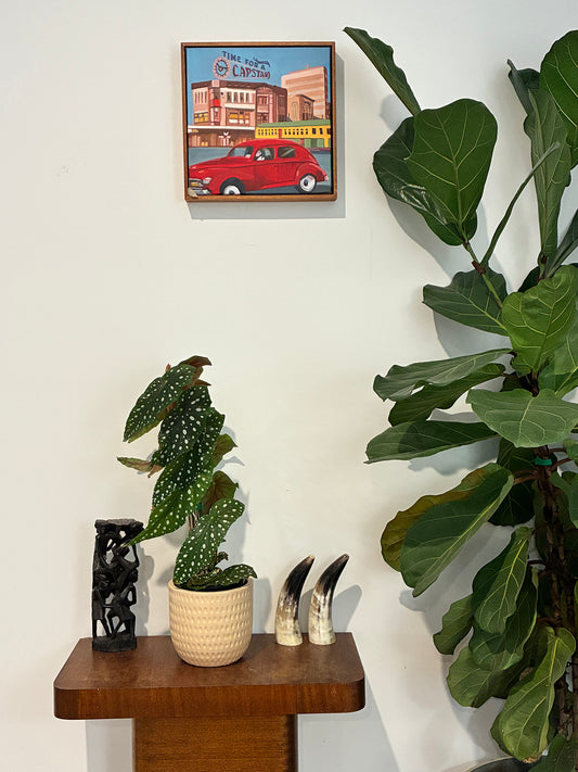 Decorative setup with potted plants, a small table, and a framed picture on a wall.